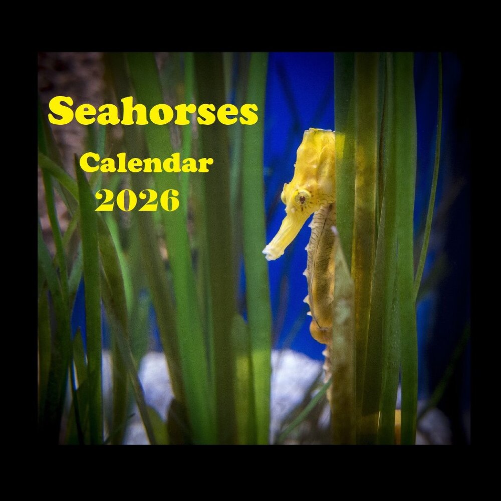 Seahorse Calendar 2026 Seahorse Calendar Coral Reef Calendar Ocean Calendar